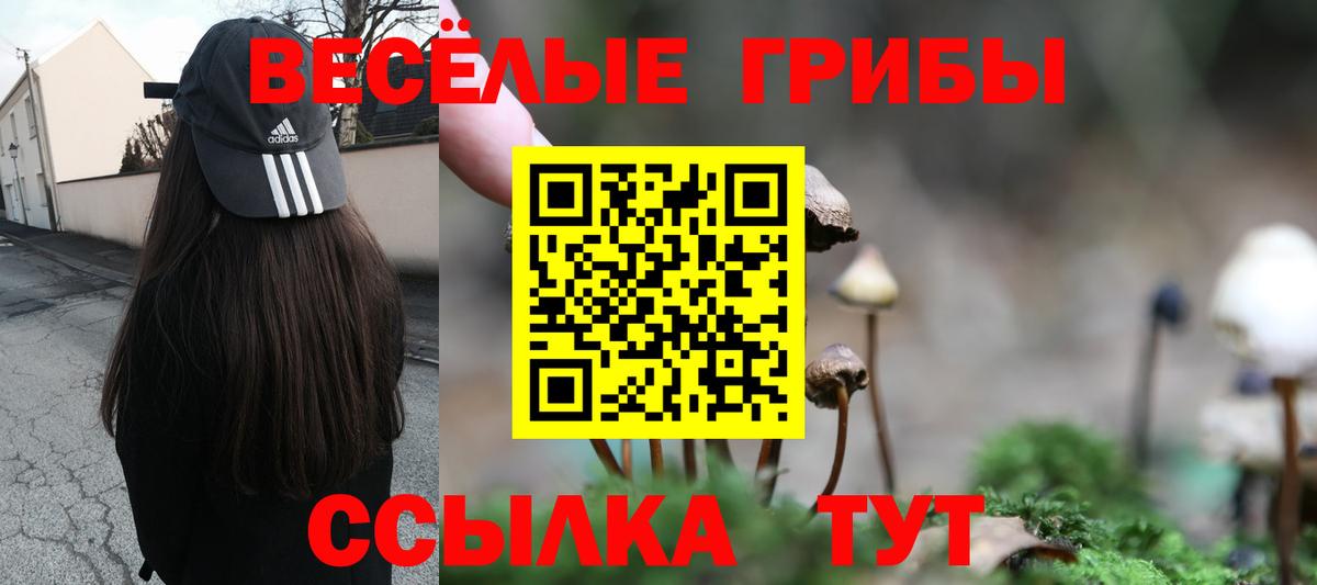 Галлюциногенные грибы Cubensis  Вход с VPN  Подольск  Псилоцибиновые грибы прущие грибы 